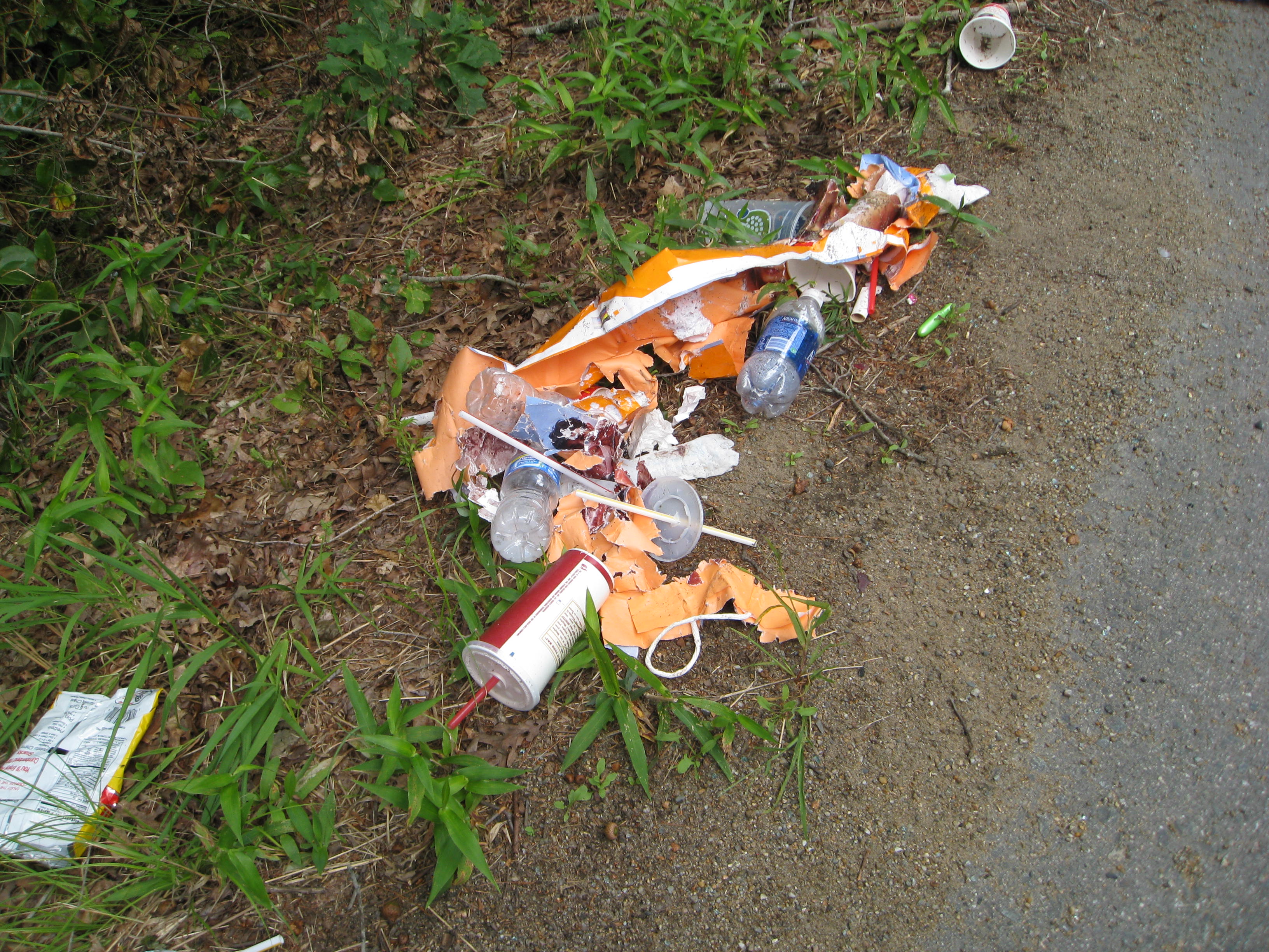 Roadside Trash